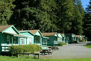 Cabins in the Redwoods